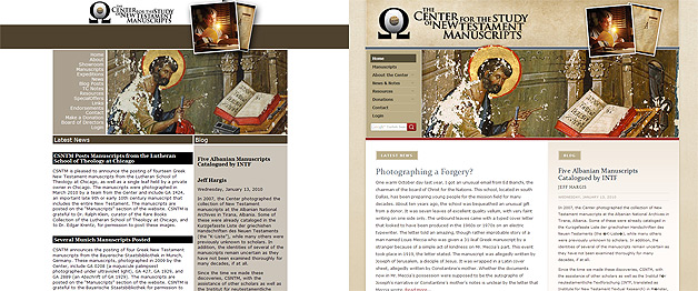 A screenshot of the CSNTM website
