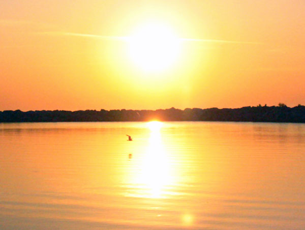 Sunrise on the Island by Peter Gurry