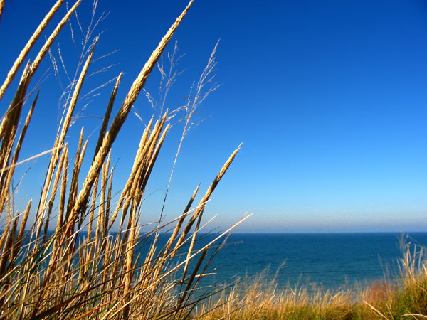 Dunes by Peter Gurry