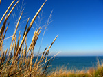Dunes by Peter Gurry