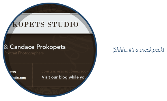 A peek at some work I'm doing for Prokopets Studio